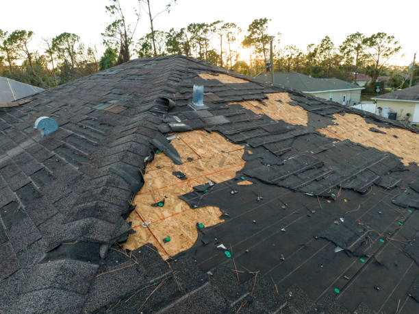 Reliable Toledo, OR Roofing Solutions